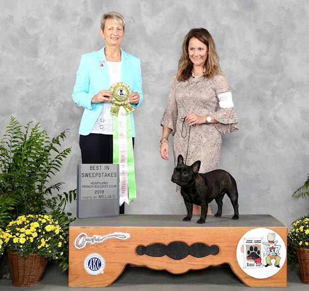 Heartland frenchies best sale